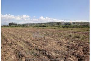 Terreno Agricolo Capaccio Paestum [A4345515]