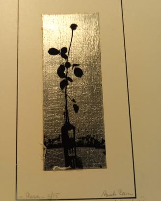 Fotografie artistiche su oro o argento