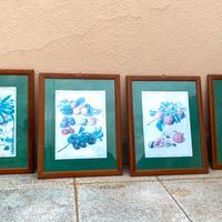 4 quadri cornice di legno motivo frutto