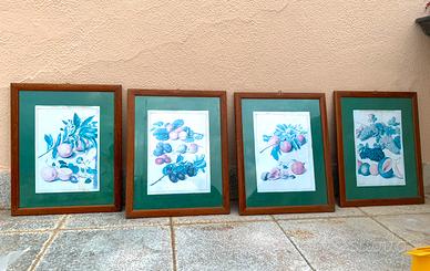 4 quadri cornice di legno motivo frutto