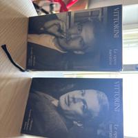 Vittorini - I meridiani