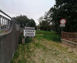 Terreno agricolo con pozzo, zona Minonna