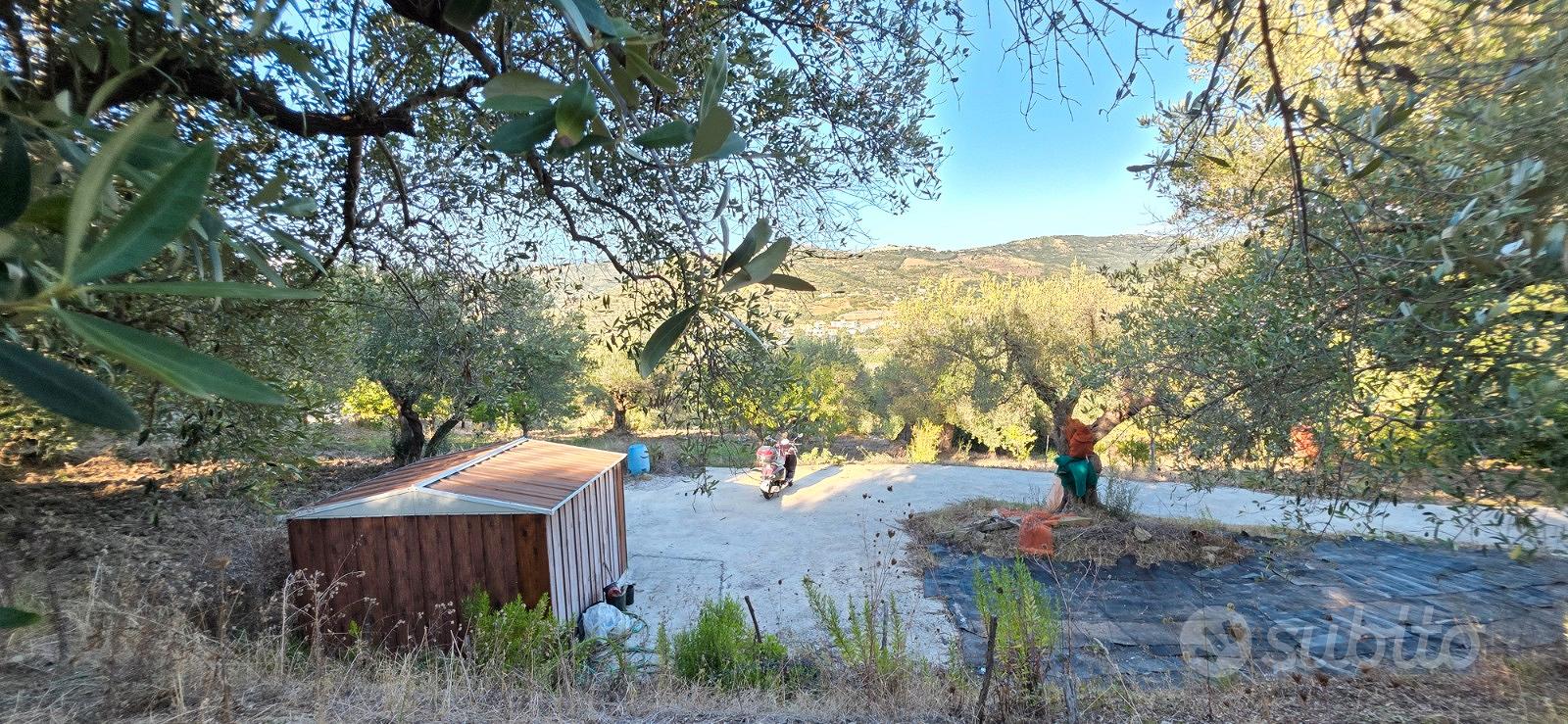 Terreno Agricolo Agropoli-Marrota - Vista 3