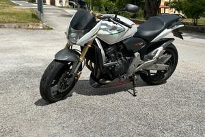 honda hornet cup 600