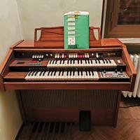 Organo elettronico