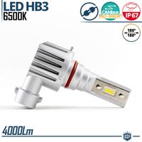 Lampada Full LED HB3 Luce Potente Bianca Canbus