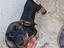 Immagine 3