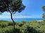 Immagine 8