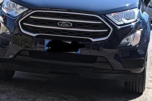 Ford Ecosport 1000