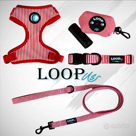Set accessori da passeggio per cani