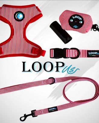 Set accessori da passeggio per cani