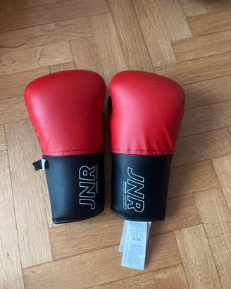 guanti da box