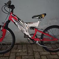 Bicicletta 20 pollici