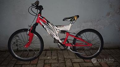 Bicicletta 20 pollici