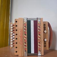 Organetto Carboni Studio 2 Bassi in Sol