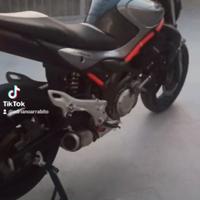Suzuki SFV Gladius 650 - 2011