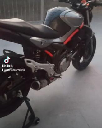 Suzuki SFV Gladius 650 - 2011