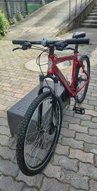 Mountain bike uomo FREJUS