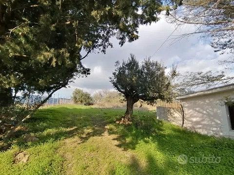 Vendita casa rurale Giungano (SA)via Convingenti - Vista 4