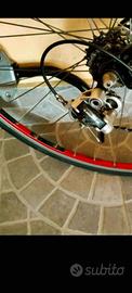 bicicletta 