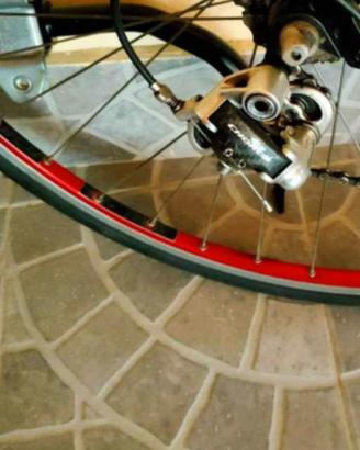 bicicletta 