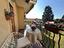 Immagine 14