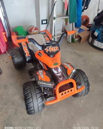 Quad elettrico Peg Perego 