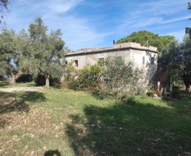 Terreni agricoli con rustico da ristrutturare