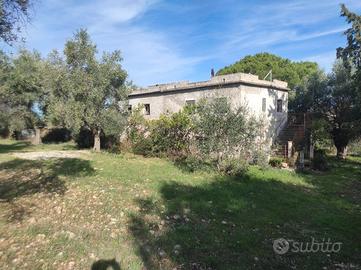 Terreni agricoli con rustico da ristrutturare