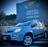 fiat-panda-cross-1-0-firefly-s-s-hybrid-senza-bust