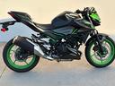kawasaki-z500-2025-nuova-da-immatricolare-