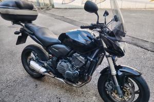 Hornet 600 del 2010