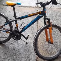 bici mtb ammortizzata ragazzino