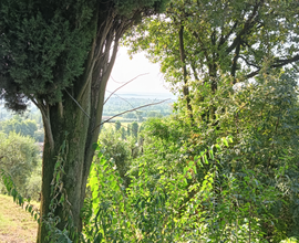 Casa nel bosco