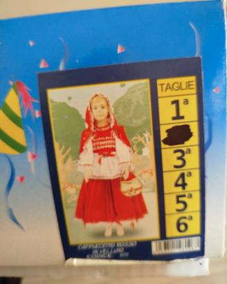 vestito Carnevale 
