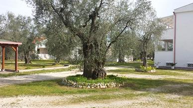 Villette a Mare in Fresco Parco Naturale, Vieste