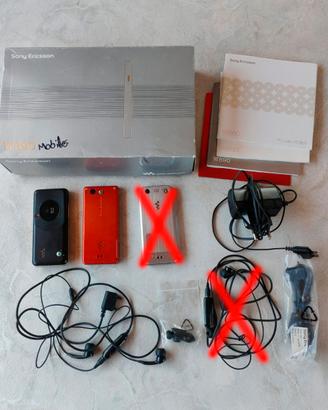 Lotto Cellulari Sony Ericsson W660i + W880i