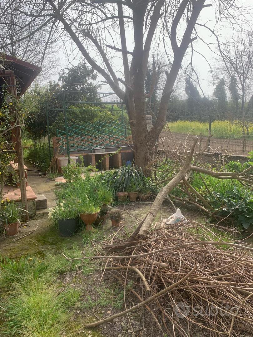 Terreno Sant'Agata de Goti - Vista 5