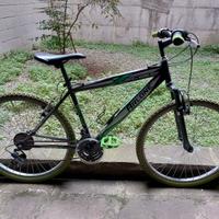 Bicicletta mountain bike
