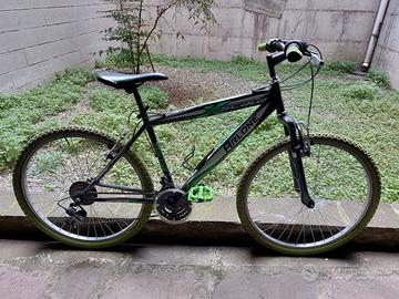 Bicicletta mountain bike