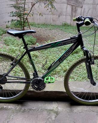 Bicicletta mountain bike