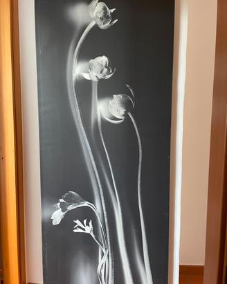 Canvas quadro