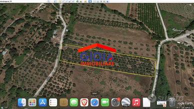 Terreno di 7100 m² a Mondragone