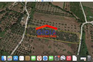 Terreno di 7100 m² a Mondragone