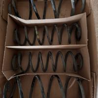 Molle ammortizzatori polo