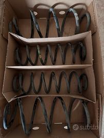 Molle ammortizzatori polo