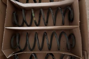 Molle ammortizzatori polo