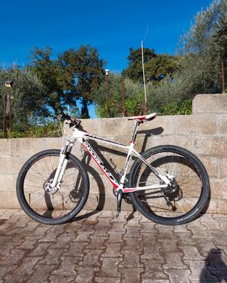 Mtb Shockblaze 29"
