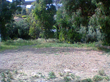 Terreno a 300 metri dal mare