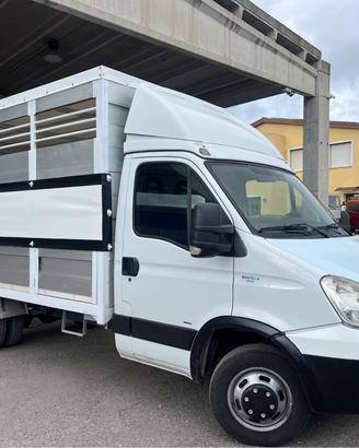 Iveco Daily 35C18 3.0 180cv trasporto animali pate